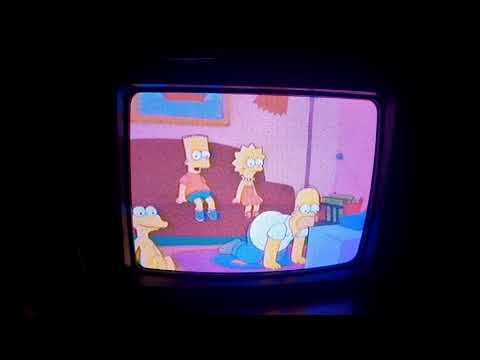 Graggle Simpson VHS EVIDENCE