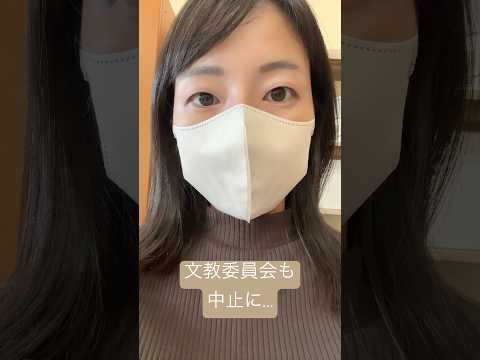 政治学科 文教委員会も中止に…(2025/11) #武蔵野市 #武蔵野市議会