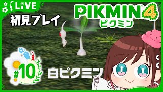 白ピクミンさんを使いこなせるか【ピクミン4初見プレイ】 #おはようvtuber  #10