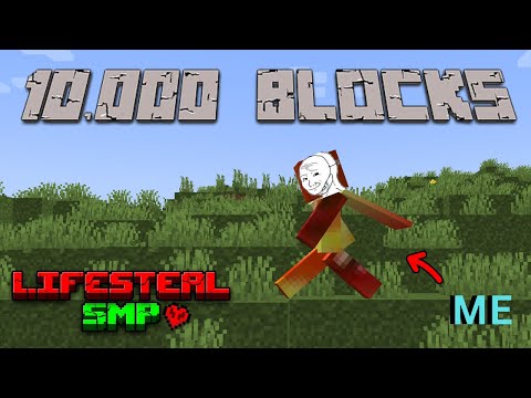 Insane! Travelling 10,000 blocks with LifeSteal
