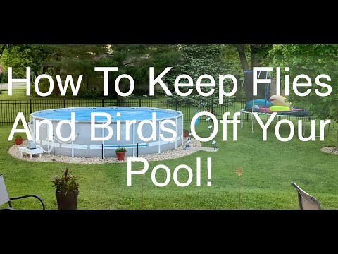 YouTube video about: How to keep birds away from my pool?