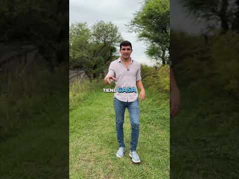 Campo de 21ha en Villa constitución