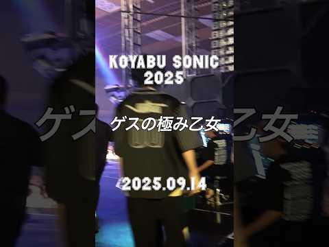 #ゲスの極み乙女 KOYABU SONIC 2025 ありがとうございました！！