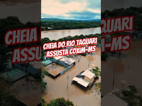 Cheia do Rio Taquari assusta Coxim-MS #coximms #chuvasfortes #enchente