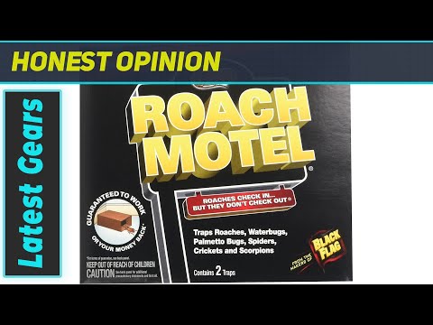 Black Flag Roach Motel: Effective Roach Trap?