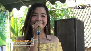 Download lagu TUNG KERIPIT ' Ninik Safira ' ARENJA MUSIC Dangdut Live Sumberarum mp3