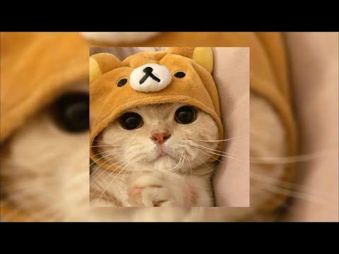 Civ - 1 AM (slowed & reverb)