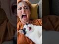 Cats Vs Humans Funny Catvideos Catshorts Cat