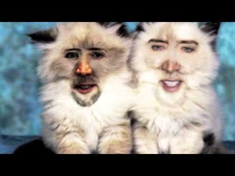 No Doubt- Settle Down (Baauer Remix) [Feat. Jay-Z] --Mashup--