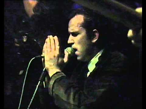 Termiti u Palachu 1995. godine