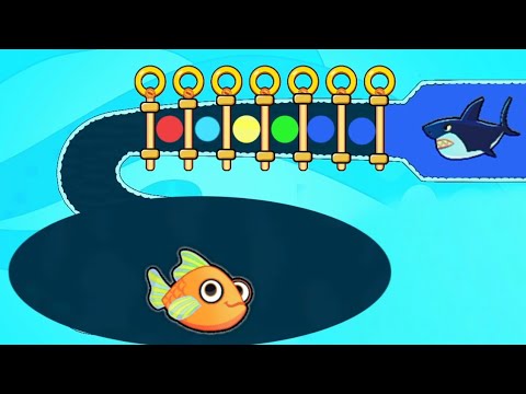 New save the fish game / New updated save  fish pull the pin mobile game / level 11488 - 11503