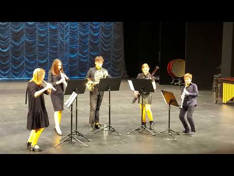 "The Pink Panther" Theme. Gnessin Winds