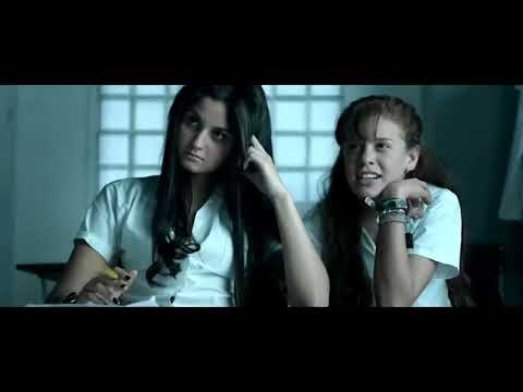 Perras Pelicula