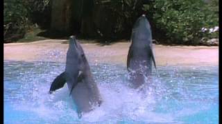 Olivia Newton-John - The Promise (The Dolphin Song) (Physical)