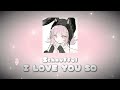 Schnuffel I LOVE YOU SO Slowed Reverb