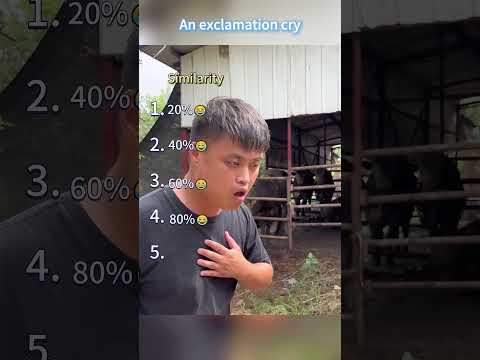 He can converse with almost any animal—it's truly amazing. 🐶🐴#funnydog #dog #animals #foryou #usa