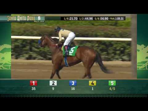 Desert Stormer (Grade III) 5/27/18