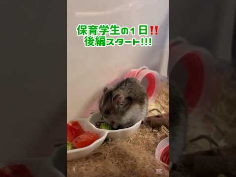 【東福大の学生の1日 知りたくないですか？？🤩後編✨】