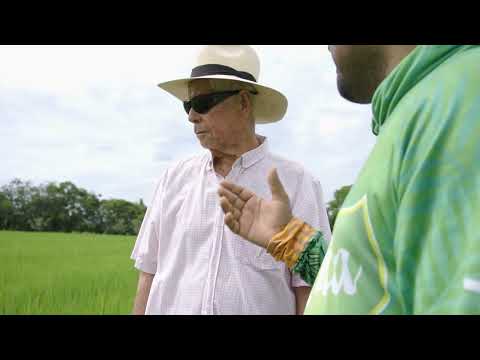 Historia del asociado José Olinto Caicedo en Coagronorte