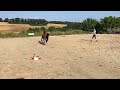 Jument de 4 ans, belles allures, idéale amateur