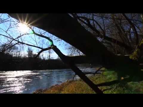 The Wolf Mountains Official Trailer