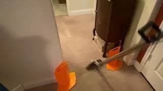 Peace Frog Specialty Cleaning Carpet Cleaning