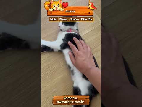 Vídeo de Amora