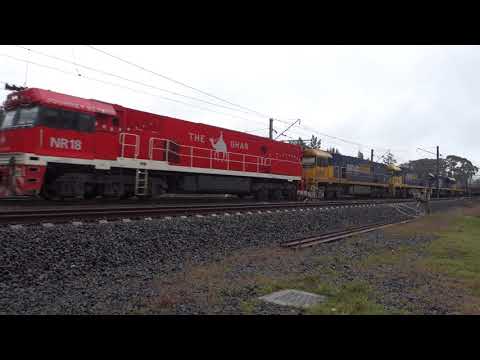 NR18 Ghan / NR50 / NR116 / 8254 / NR86 IP with PN 5NY3 - 19/9/19