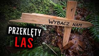 BARDZO Niepokojące Nagrania z Lasów i Kempingów