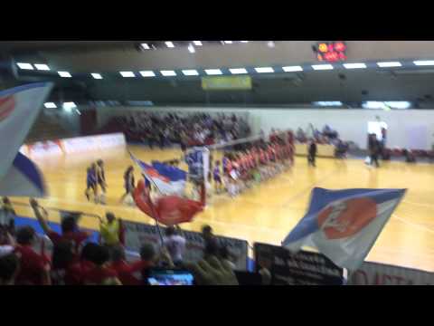 Volley Pesaro-Omia Volley 88 Cisterna