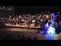 African Wildlife Savannah Impression Orkest