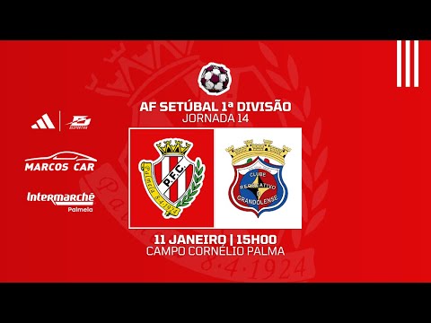 PALMELENSE - GRANDOLENSE | 14ª JORNADA - AF SETÚBAL 1ª DIVISÃO 2025/26