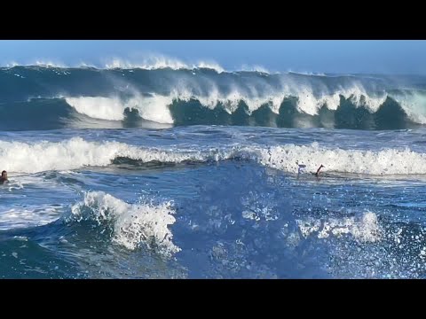 Surfing Haleiwa 12/26/2022 Ali'i Beach North Shore Oahu Hawaii