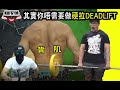 漢堡Talk乜Show EP:53練背!?其實你可能無需要做硬拉Deadlift?? ft. Terry, Marvin