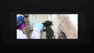 Value Dry | Basement Waterproofing Prussia PA