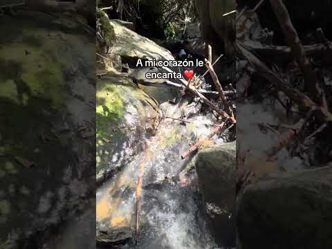 La riqueza de mi Sutamarchan❤️#naturalezaviva #Selva #agua  #Riqueza #lifestyle #paratii #vida