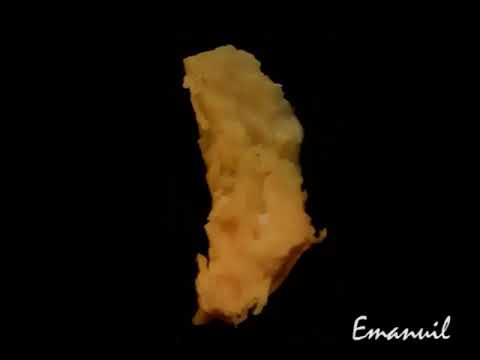 BANATSKI BEĆARAC-Milan Prunić