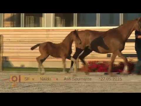 KN 21 SF v. Naldo - Asti Spumante