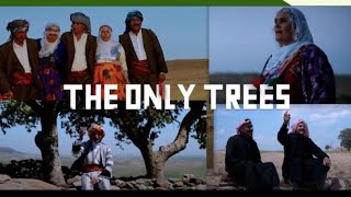 Download lagu Darên Bi Tenê/ Lonely Trees/2017 mp3