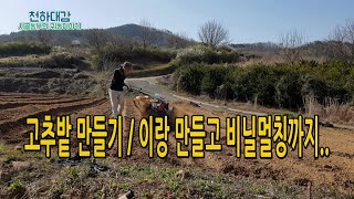 고추밭 만들기 준비는 이렇게.. 관리기로 고랑 파고 비닐씌우기까지..