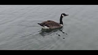 Beautiful view in Rother vally