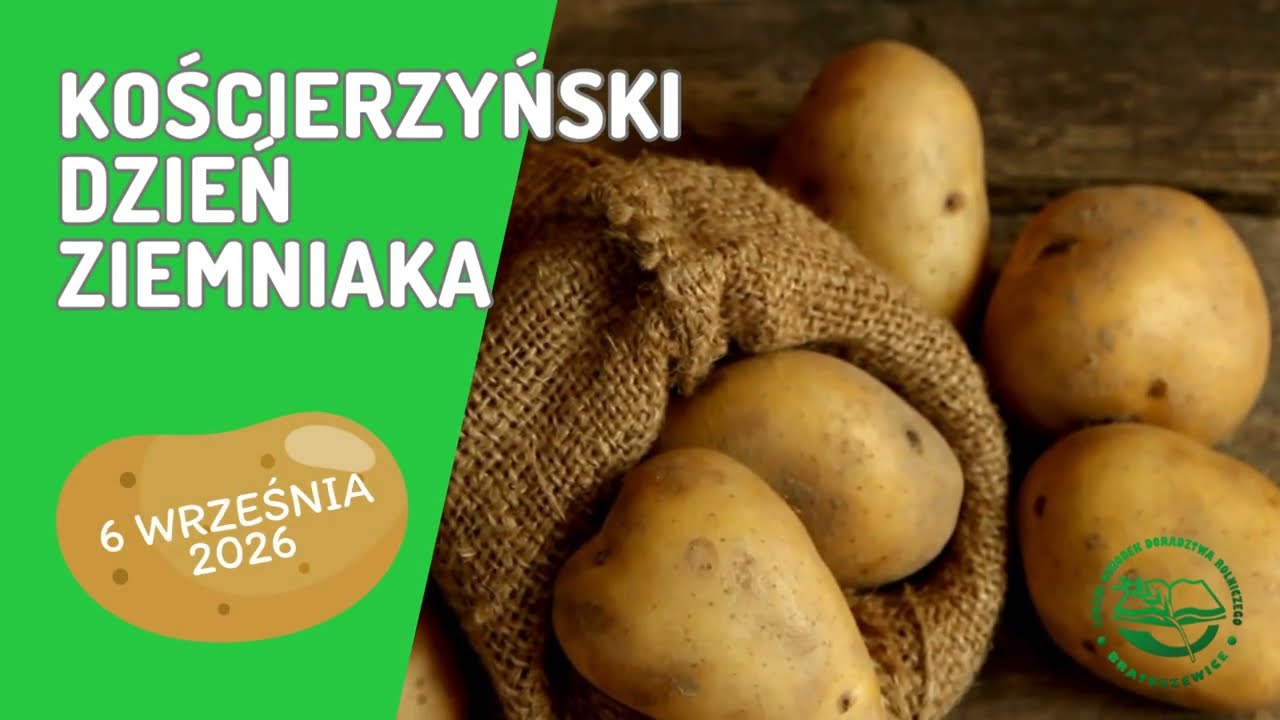 ZAPROSZENIE | Kościerzyński Dzień Ziemniaka – 6 września 2026