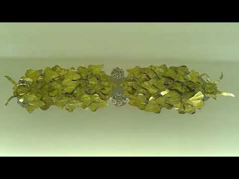 Intervallo ETRU Serie I Ep  24   La collezione degli Ori Castellani