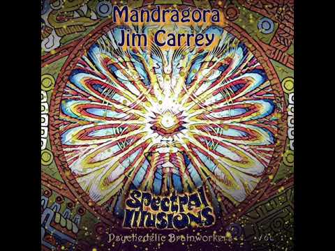 Brainworkers 1 : Mandragora - Jim Carrey
