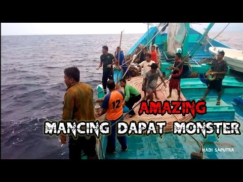 Ngeri! Video mancing ikan Black marlin monster berat 250 kg