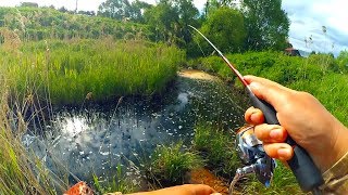 Воблер на карася