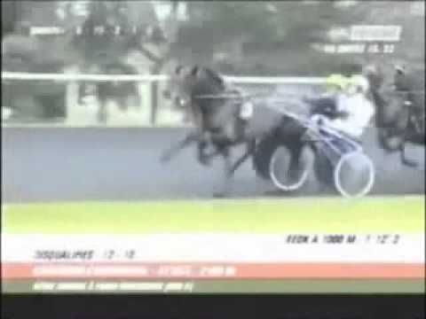 Criterium Continental 2006 -Offshore Dream