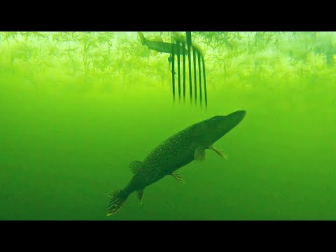 Spearing Pike ((INSANE FOOTAGE))