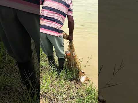 VIDEO CLIP PUERTO LIBERTADOR CORDOBA