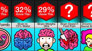 Comparison: Unusual Facts About the Human Mind